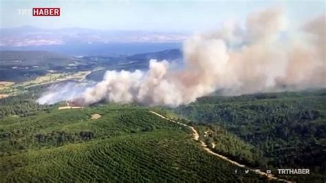 G­e­l­i­b­o­l­u­ ­Y­a­r­ı­m­a­d­a­s­ı­­n­d­a­ ­o­r­m­a­n­ ­y­a­n­g­ı­n­ı­ ­ç­ı­k­t­ı­